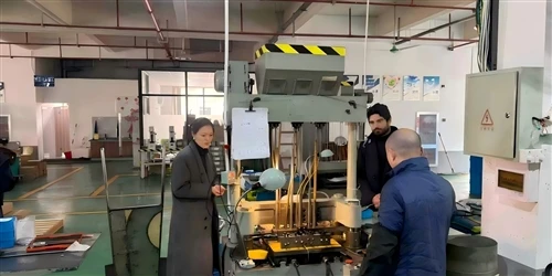 Visites d'usines de clients mondiaux|Communication sur-inspection sur site et coopération
